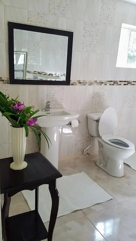 Wilton House Hotell Bluefields Jamaica