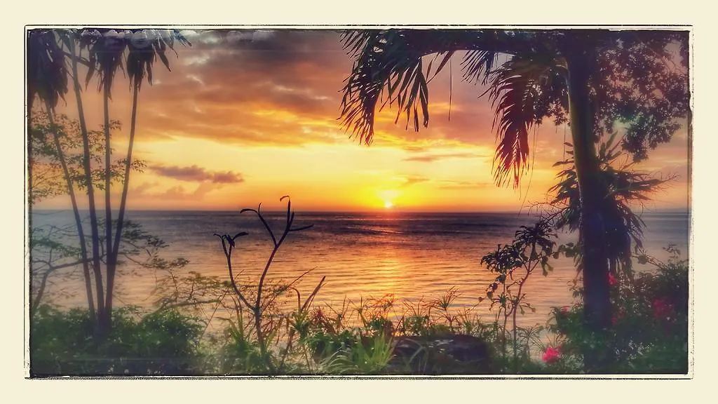 *** Pensionat Wilton House Hotell Bluefields Jamaica