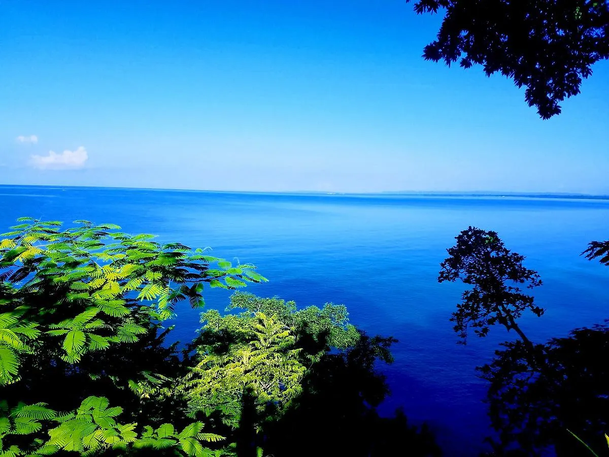 *** ゲストハウス ホテル Wilton House Bluefields ジャマイカ